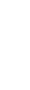 Experience