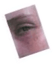 sticker-2