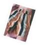 sticker-3